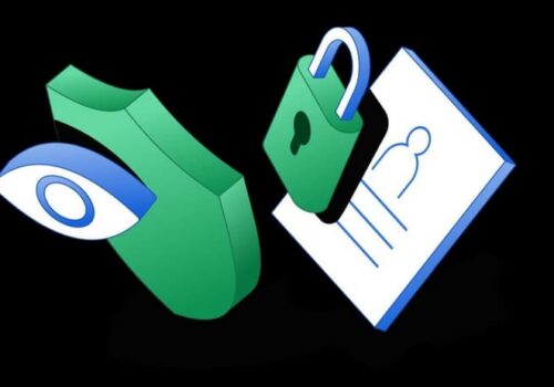 VPN, DNS Filters, Traffic Obfuscation for Data Protection